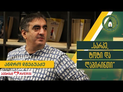 „სარკე, ტოტი და ლაბირინთი “ - ანდრო დგებუაძე